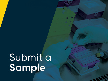 Submit A Bee Sample